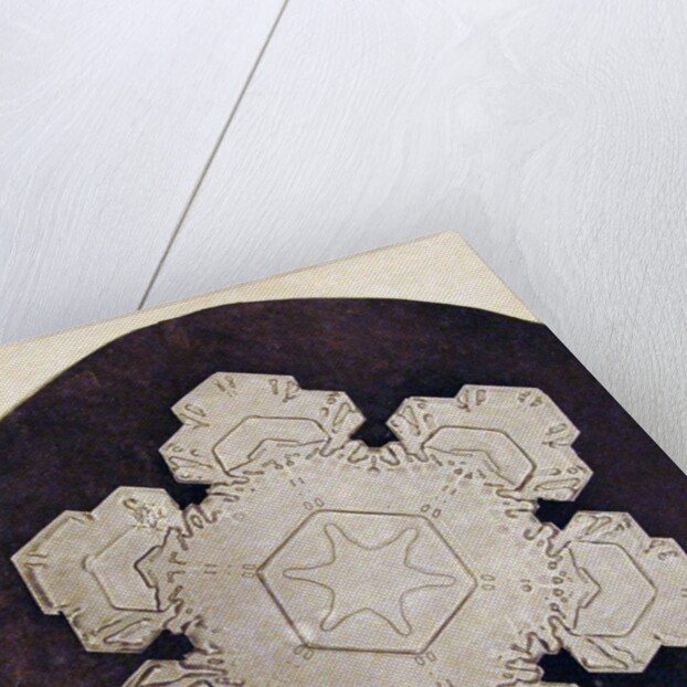 Study of a snowflake by Anonymous
