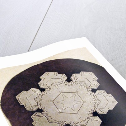 Study of a snowflake by Anonymous