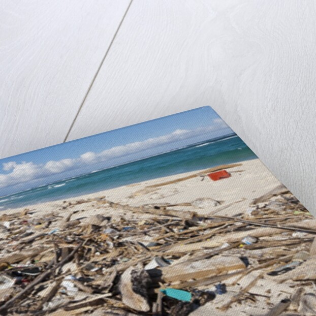 Trash-covered beach in Aruba by Anonymous