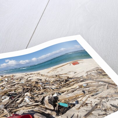 Trash-covered beach in Aruba by Anonymous