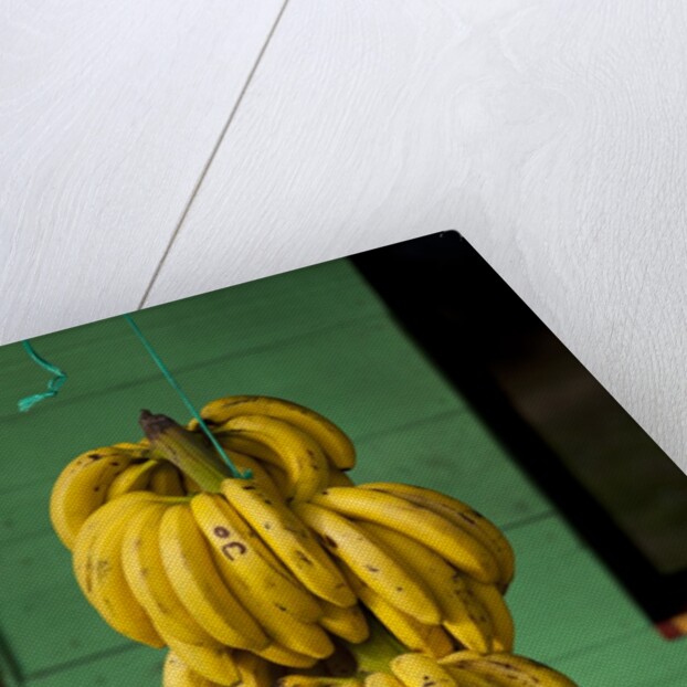 Bananas at a Fruit Stand in Dominican Republic by Anonymous
