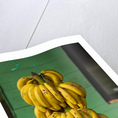 Bananas at a Fruit Stand in Dominican Republic by Anonymous