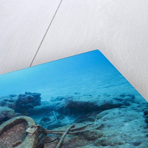 Toilet bowl resting on coral reef in Dominican Republic by Anonymous