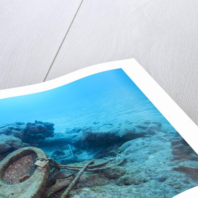 Toilet bowl resting on coral reef in Dominican Republic by Anonymous