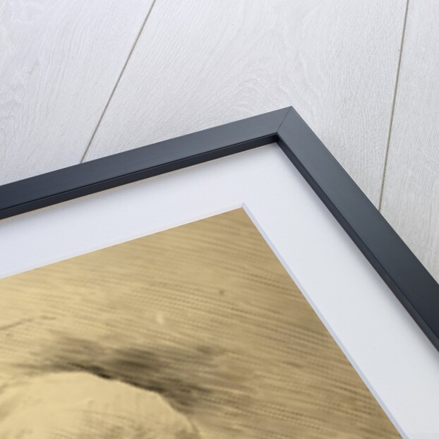 Labor Cartoon by Anonymous