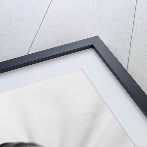 Baby boy portrait, ca. 1952 by Anonymous