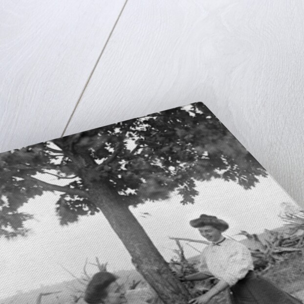 Two women chase each other around a tree, ca. 1910 by Anonymous