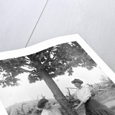 Two women chase each other around a tree, ca. 1910 by Anonymous