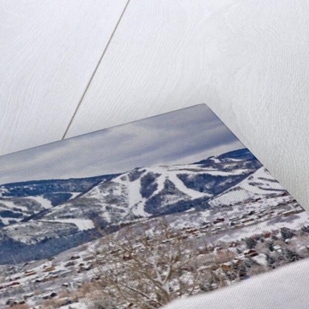 Steamboat Springs Ski Area and town by Anonymous