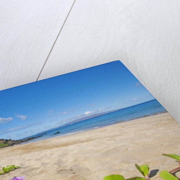 Palau'ea Beach, Maui, Hawaii by Anonymous