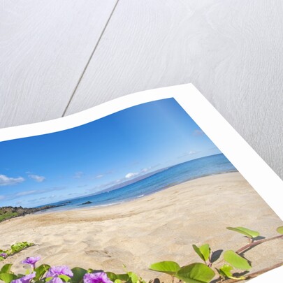 Palau'ea Beach, Maui, Hawaii by Anonymous