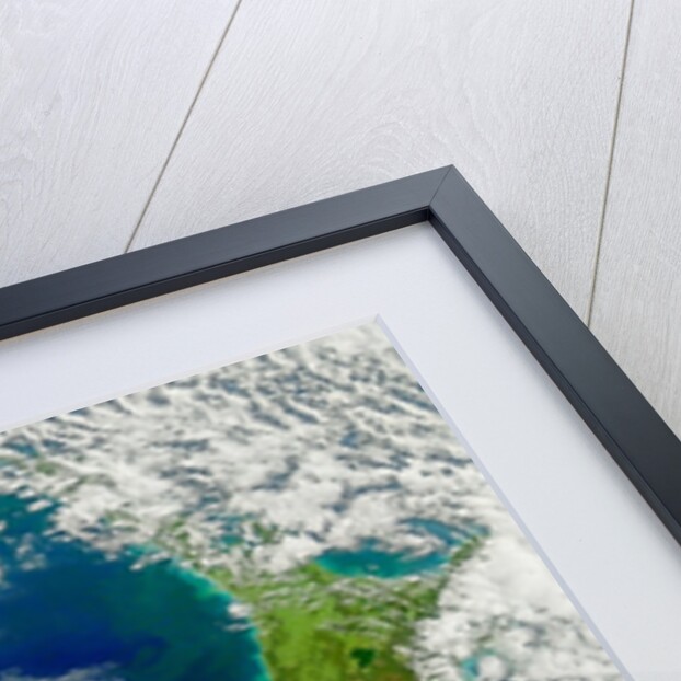 Turbid Waters Surround New Zealand by Anonymous