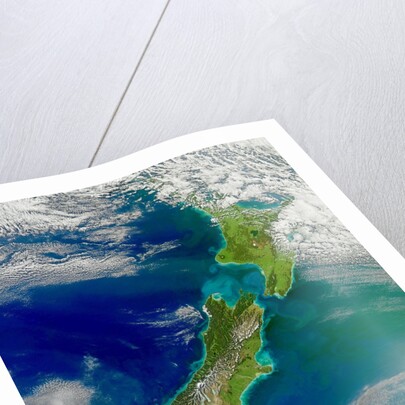 Turbid Waters Surround New Zealand by Anonymous