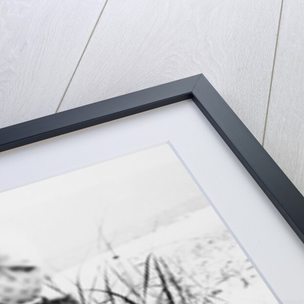Young woman at the beach, ca. 1938 by Anonymous
