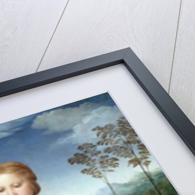 Madonna del Cardellino (Madonna of the Goldfinch) by Raphael