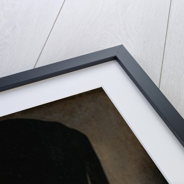 Portrait of a Young Woman by Petrus Christus