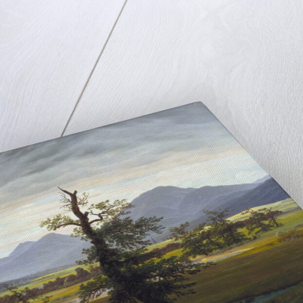 The Solitary Tree (Village Landscape in Morning Light) by Caspar David Friedrich