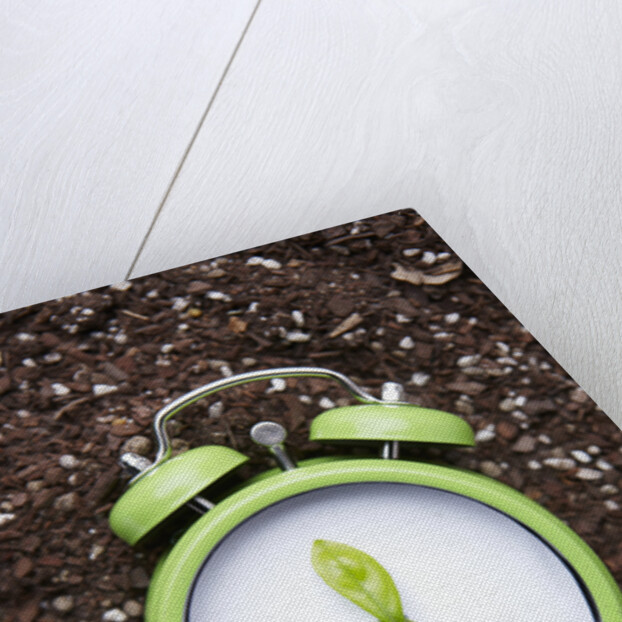 Eco friendly green concepts by Anonymous