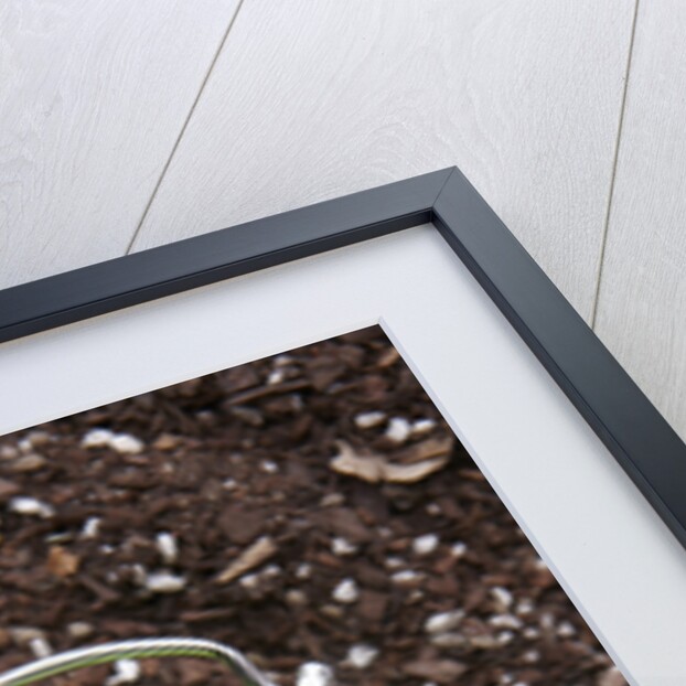 Eco friendly green concepts by Anonymous