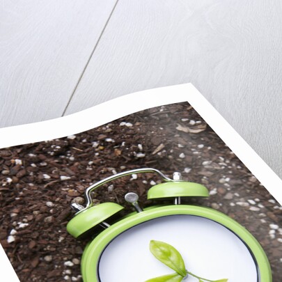 Eco friendly green concepts by Anonymous