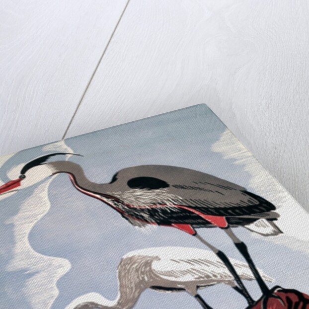 Visit the Zoo poster with two herons by Anonymous