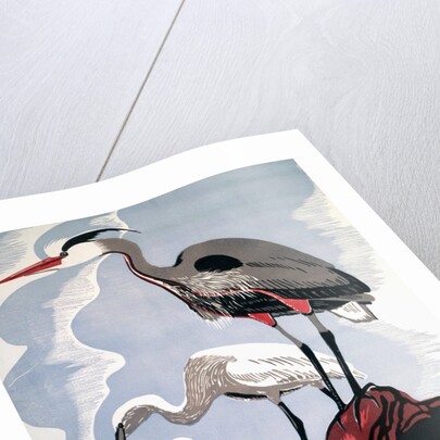 Visit the Zoo poster with two herons by Anonymous
