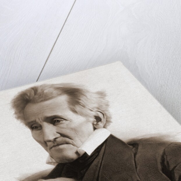 Portrait of Andrew Jackson by Anonymous