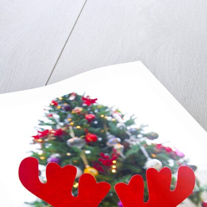 Sleeping Beagle Dog Wearing Christmas Antlers by Anonymous
