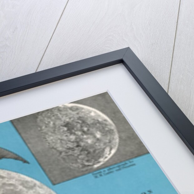 Illustration of the full moon and phases of the moon by Anonymous