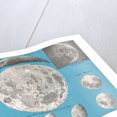 Illustration of the full moon and phases of the moon by Anonymous