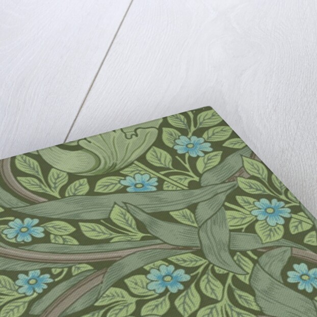 William Morris wallpaper sample with Forget-Me-Nots by Anonymous