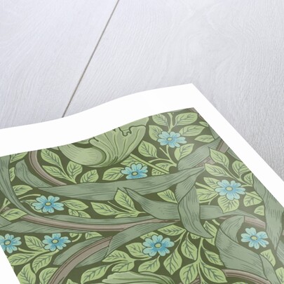 William Morris wallpaper sample with Forget-Me-Nots by Anonymous
