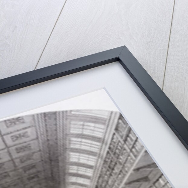 Hunterian Museum at the Royal College of Surgeons by Anonymous