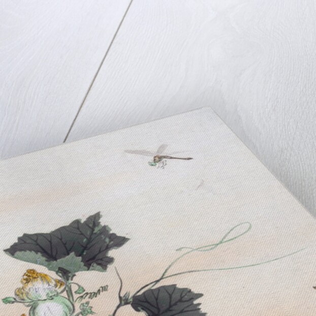 Dragonfly and a Pumpkin Blossom by Ogata Gekko