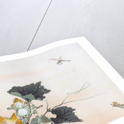 Dragonfly and a Pumpkin Blossom by Ogata Gekko