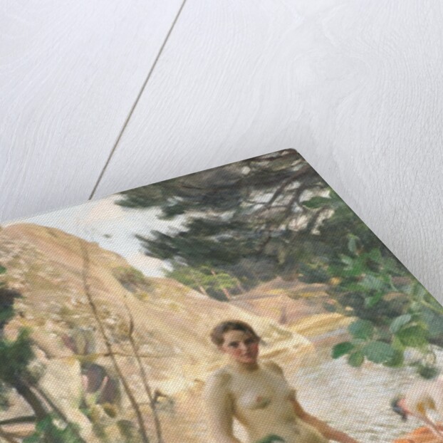 Nudes Swimming in a Lake by Anders Zorn