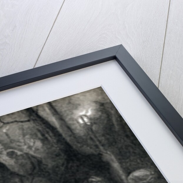 The Judas Kiss (Mark 14:45) by Gustave Dore