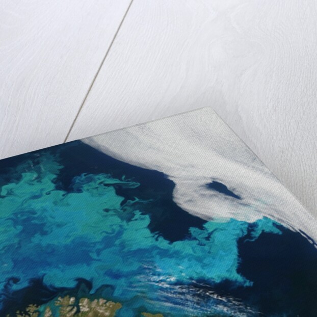 Phytoplankton bloom in the Barents Sea by Anonymous