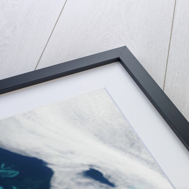 Phytoplankton bloom in the Barents Sea by Anonymous