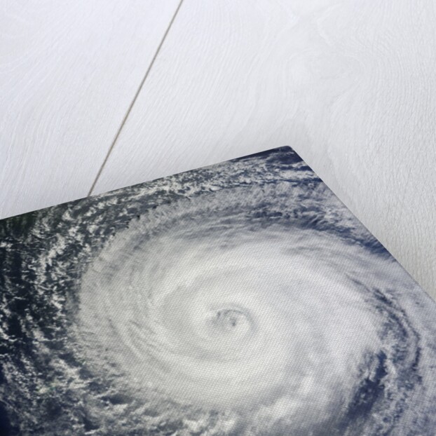 Typhoon Muifa in the Philippine Sea by Anonymous