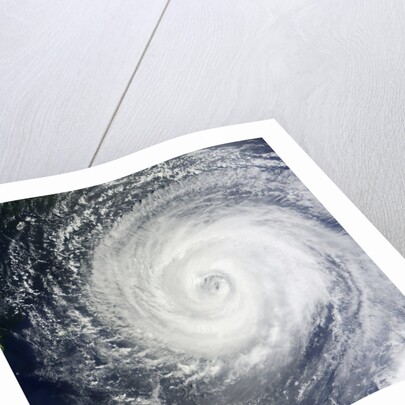 Typhoon Muifa in the Philippine Sea by Anonymous