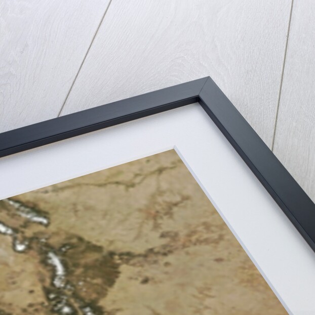 Satellite view of New Mexico, USA by Anonymous