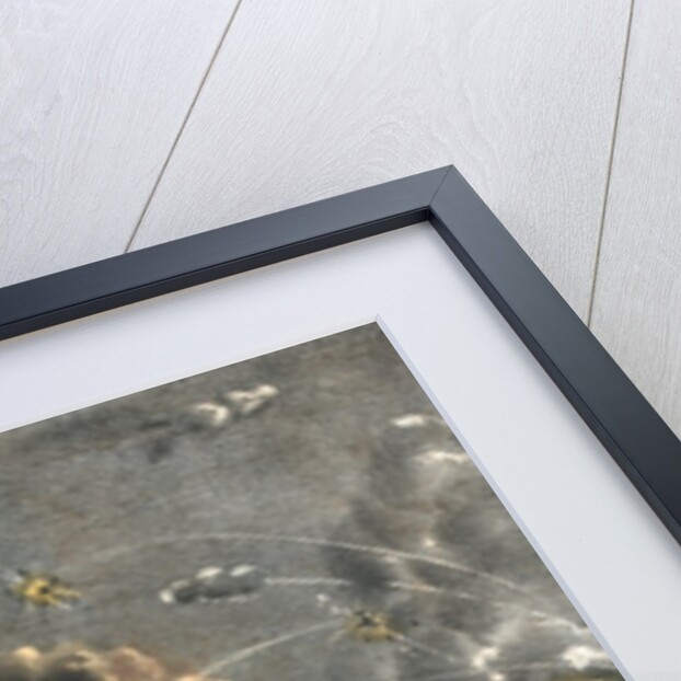 Bombardment of Fort Sumter, Charleston Harbor by Anonymous