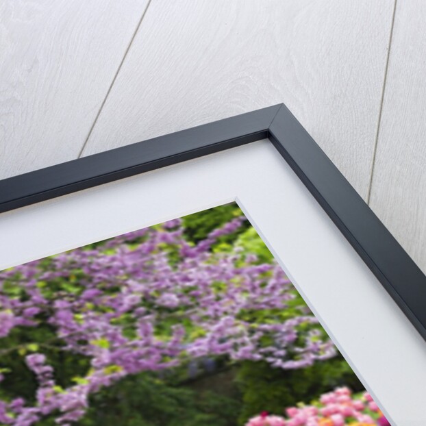 Blooming garden by Anonymous