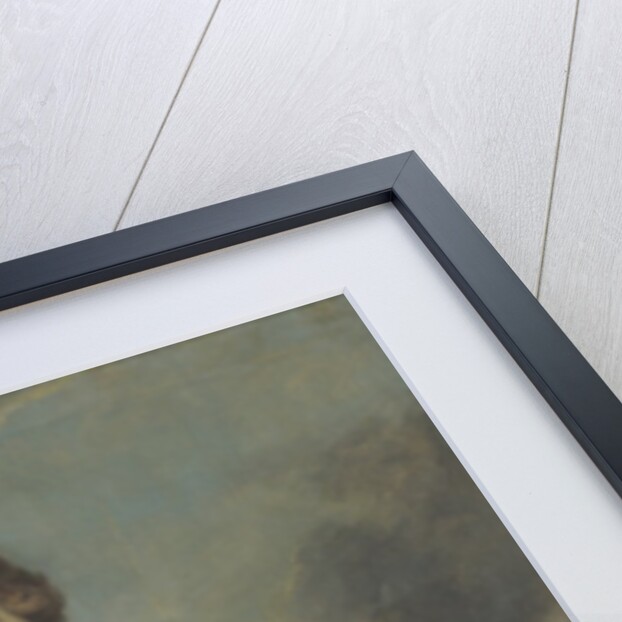 Mary Finch, Viscountess Andover by Thomas Hudson