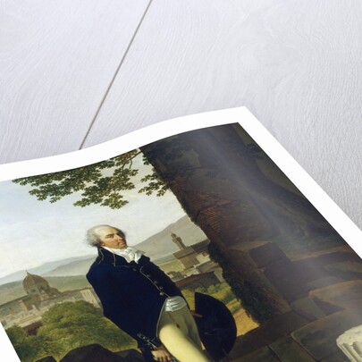 Portrait of Sir Godfrey Vassall Webster by Louis Gauffier