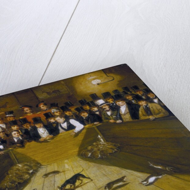 Rat-Catching at the Blue Anchor Tavern, Bunhill Row, Finsbury by Anonymous