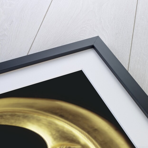 Gilded crescent moon by Anonymous