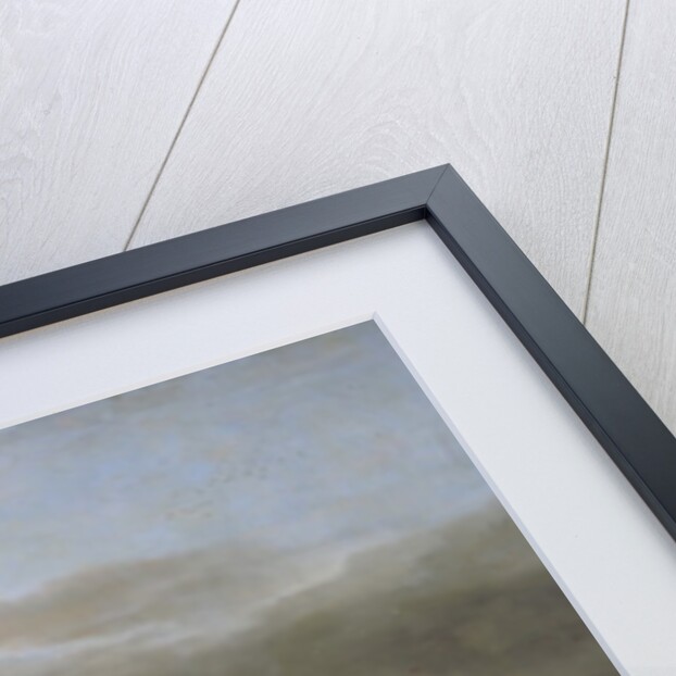 The Frozen Thames by Abraham Hondius