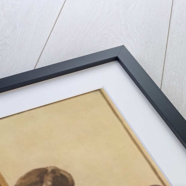 Boy teaching dog trick by Anonymous